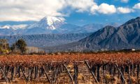 Vacances en Argentine dans le pays du vin