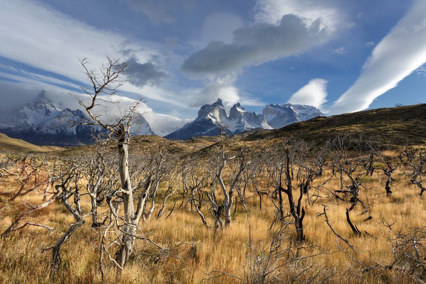 Trek W Ã Torres del Paine