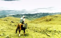 Partir en randonnée à cheval pour un voyage