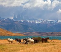 Programmer une promenade à cheval en Argentine et au Chili