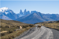 Comment se rendre à Torres del Paine depuis la gare routière de Puerto Natales