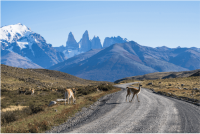 Comment se rendre de Puerto Natales à El Chaltén