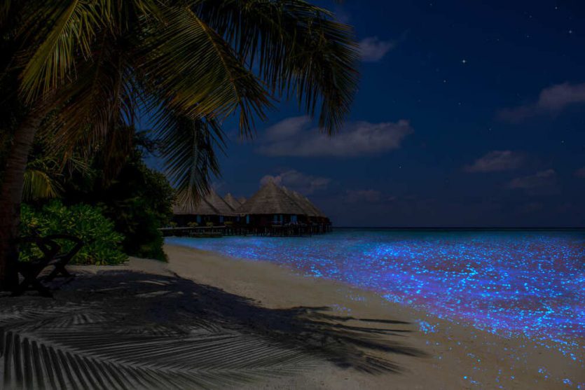  plus-beau-pays-monde-maldive